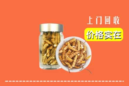 收购资讯:齐齐哈尔克东回收散虫草