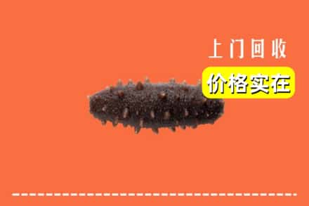 收购资讯:齐齐哈尔克东回收海参