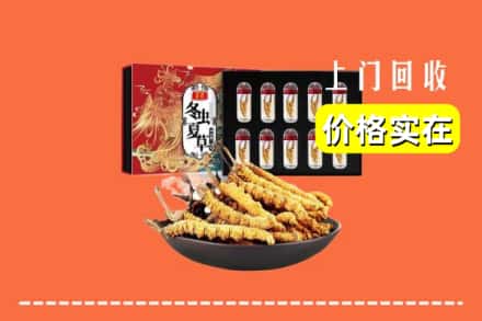 齐齐哈尔克东回收虫草